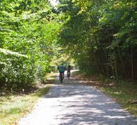 Forest trail with bike riders